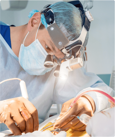 Zedmed | Practice Management Software